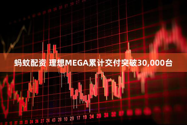 蚂蚊配资 理想MEGA累计交付突破30,000台